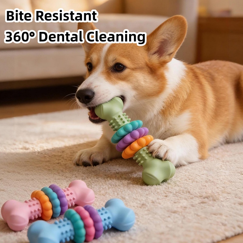 Teeth Cleaning Dog Chew Bone - Wytrzymała zabawka dla psa z TPR