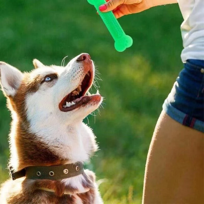 Teeth Cleaning Dog Chew Bone - Super Wytrzymała Zabawka Gryzak Kość dla