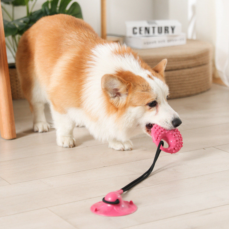 Suction Cup Dog Tug Toy - Zabawki dla psów Silikonowa przyssawka Tug