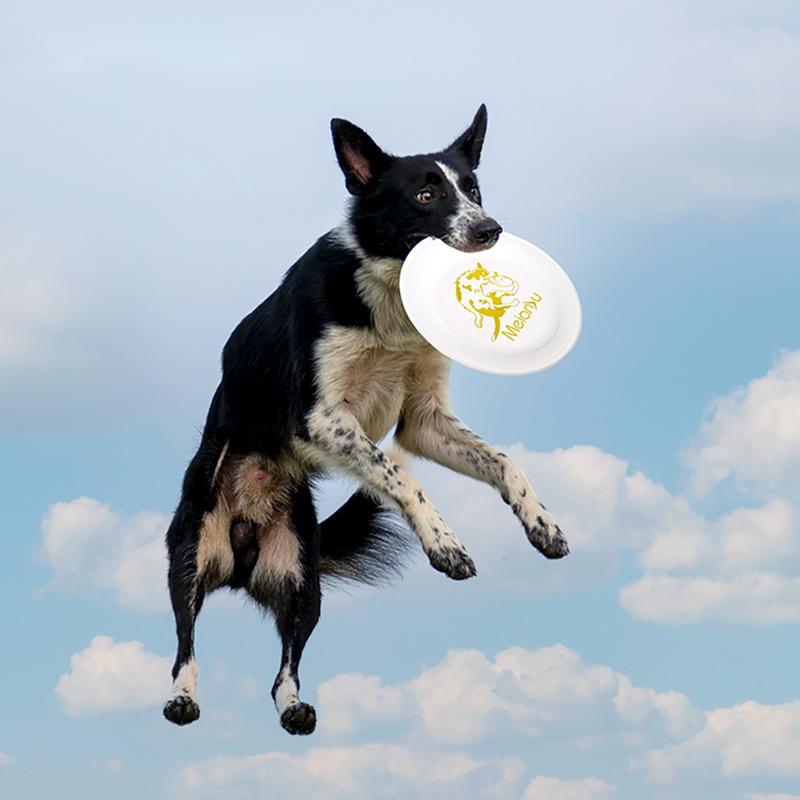 Flying Disc Dog Training Toy - OUZEY odporna na ugryzienia szkolenie dla