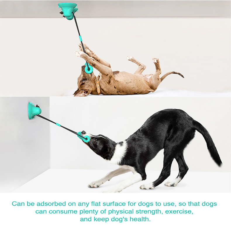 Suction Cup Dog Tug Toy - Zabawka dla psa z podwójną przyssawką