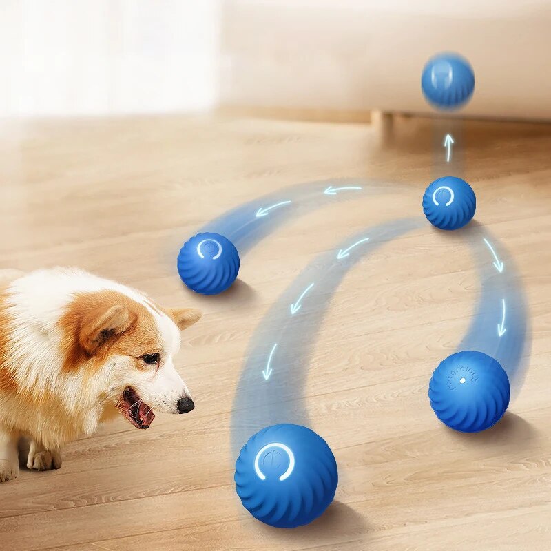 Suction Cup Dog Tug Toy - Zabawki dla psów Inteligentna grawitacyjna piłka