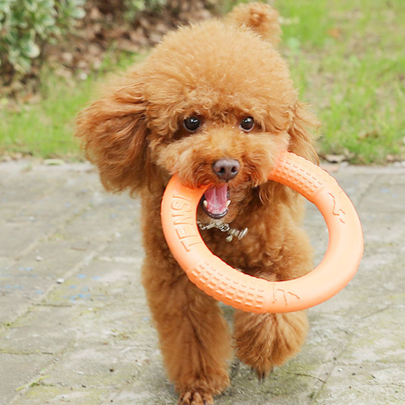 1 szt. Pomarańczowy zabawki dl – Interactive Squeaky Plush Dog Toy recenzja i cena
