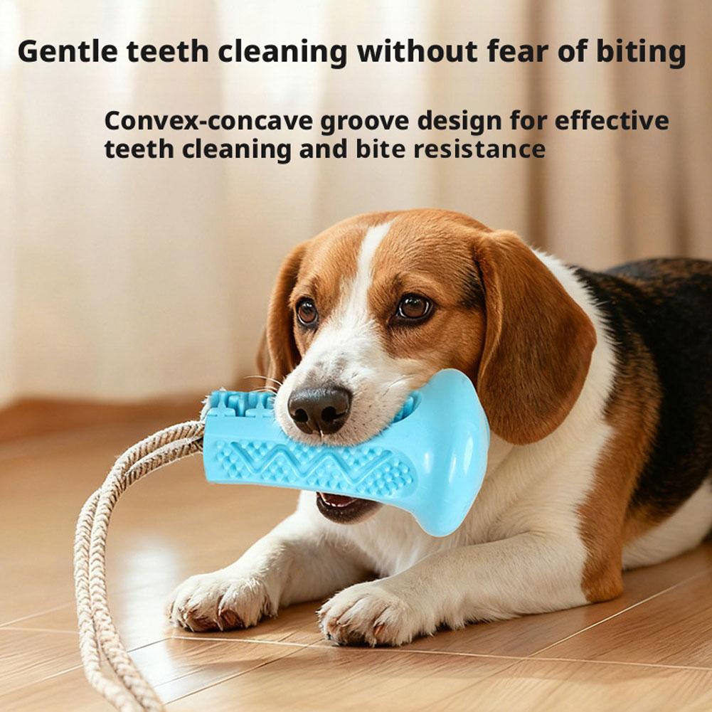 Zabawka dla psa z przyssawką,  – Suction Cup Dog Tug Toy recenzja i cena