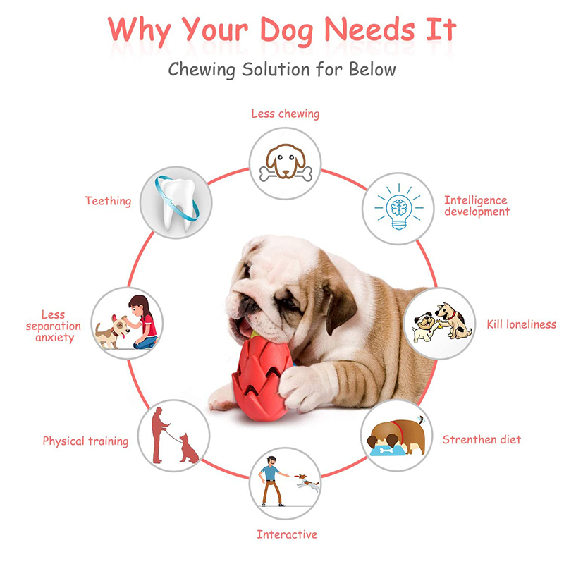 Benepaw niezniszczalne zabawki – Indestructible Dog Chew Toy recenzja i cena