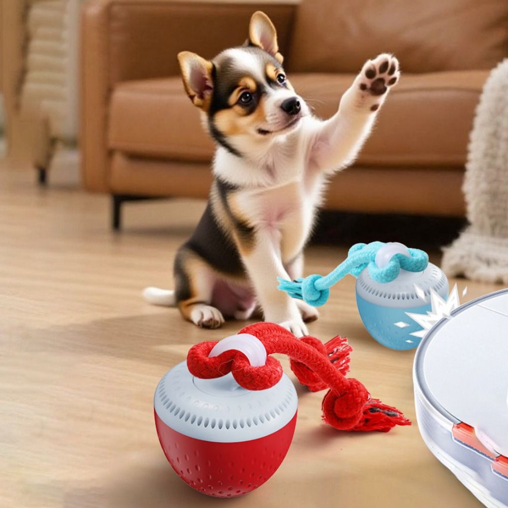 Odporna na gryzienie inteligen – Automatic Moving Dog Ball recenzja i cena