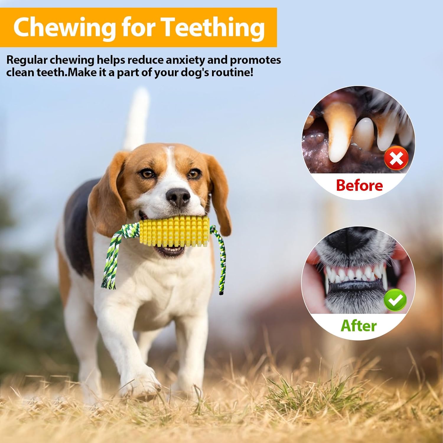 Zabawka do żucia dla psów w ks – Dog Rope Toy Aggressive Chewers recenzja i cena