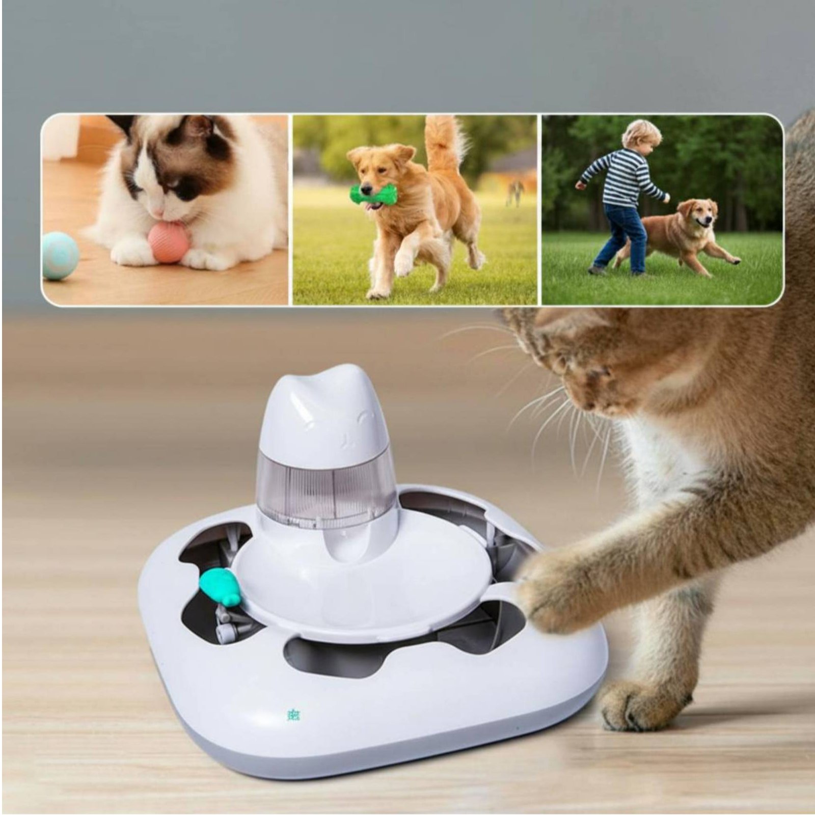 Interaktywna maszyna do gier d – Cat Toys recenzja i cena