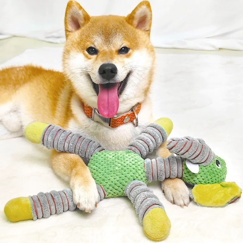 Zabawka dla zwierząt w kształc – Indestructible Dog Chew Toy recenzja i cena