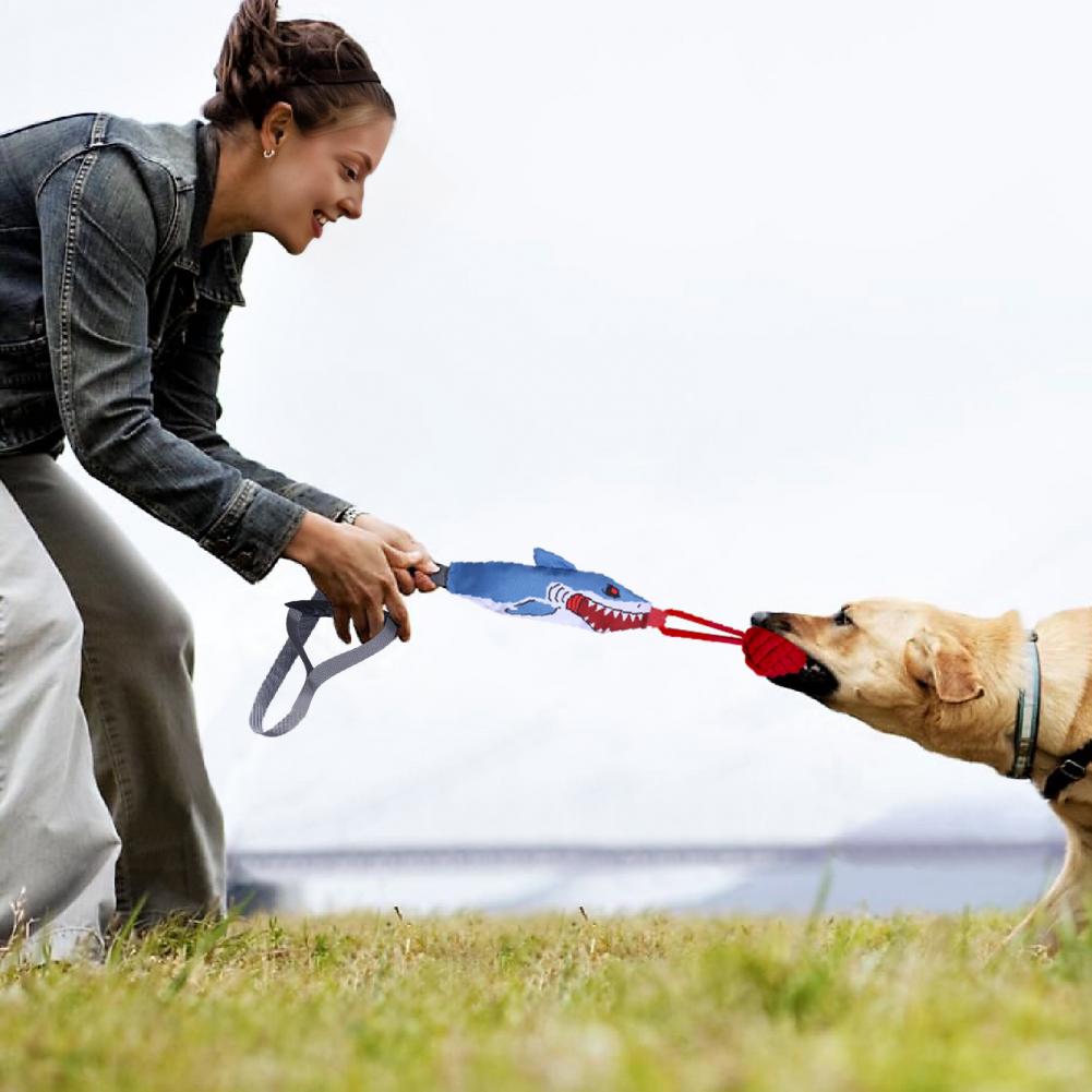 Zabawka dla psa w kształcie re – Suction Cup Dog Tug Toy recenzja i cena