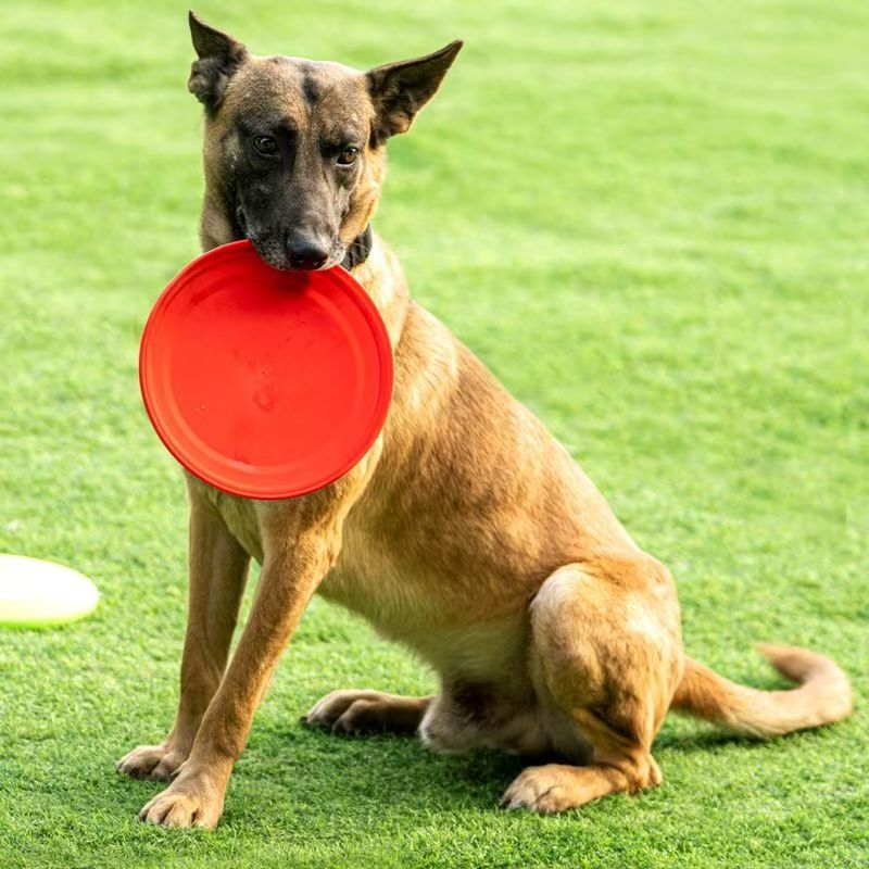 Twarda plastikowa frisbee dla  – Flying Disc Dog Training Toy recenzja i cena