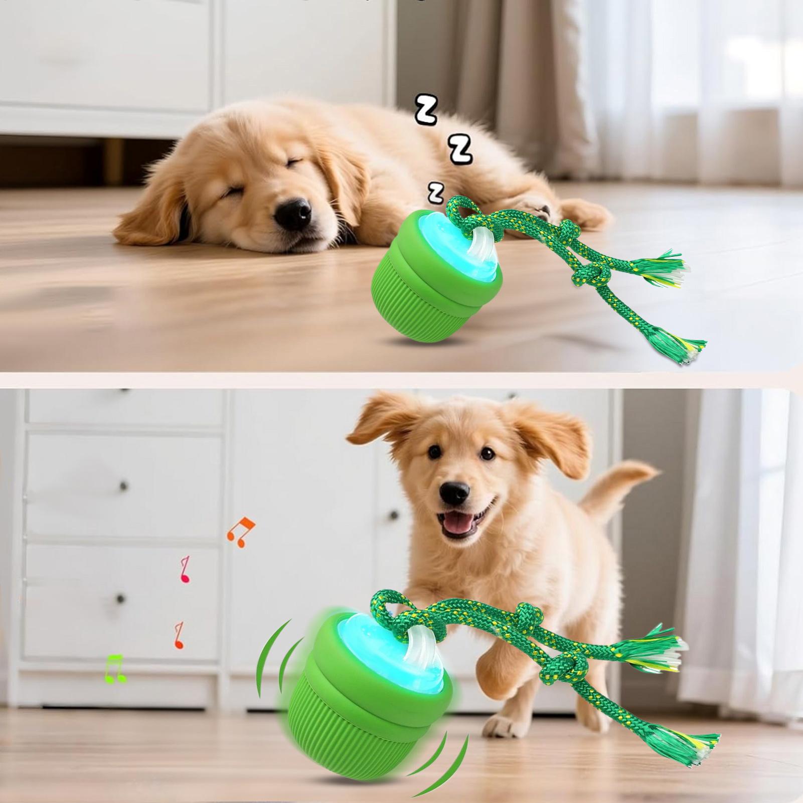 Interaktywna piłka dla psa, au – Automatic Moving Dog Ball recenzja i cena