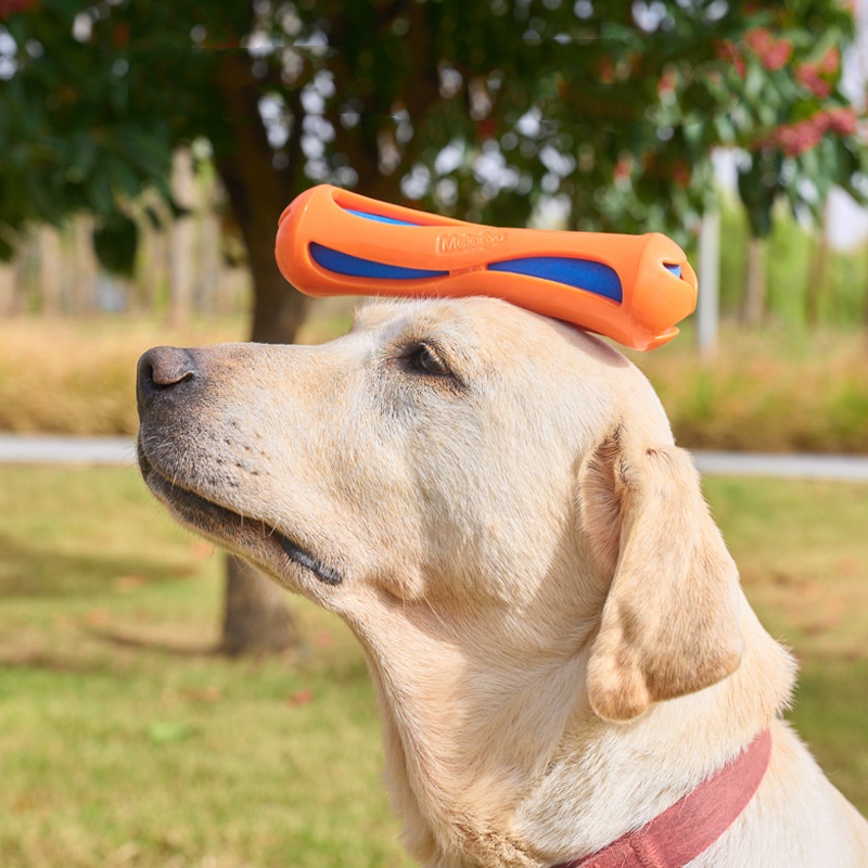 Niezniszczalna pływająca zabaw – Indestructible Dog Chew Toy recenzja i cena