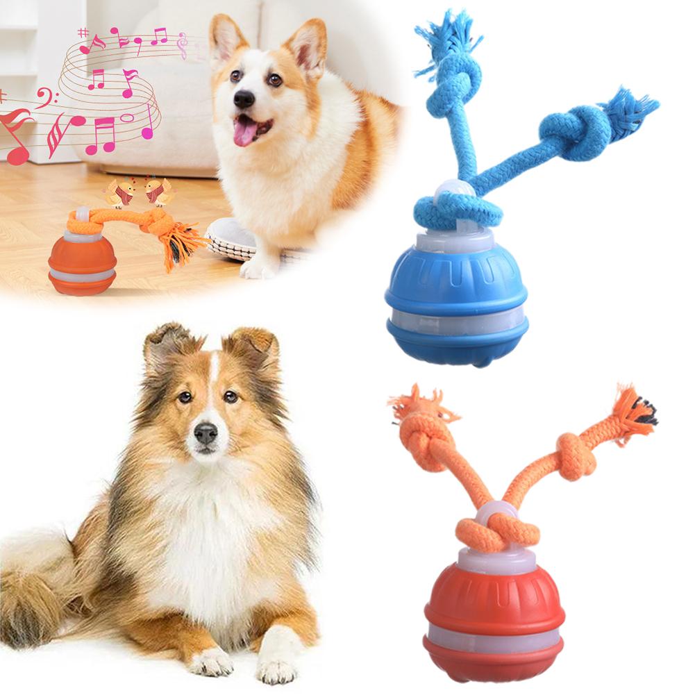 Inteligentna, ładowalna piłka  – Automatic Moving Dog Ball recenzja i cena