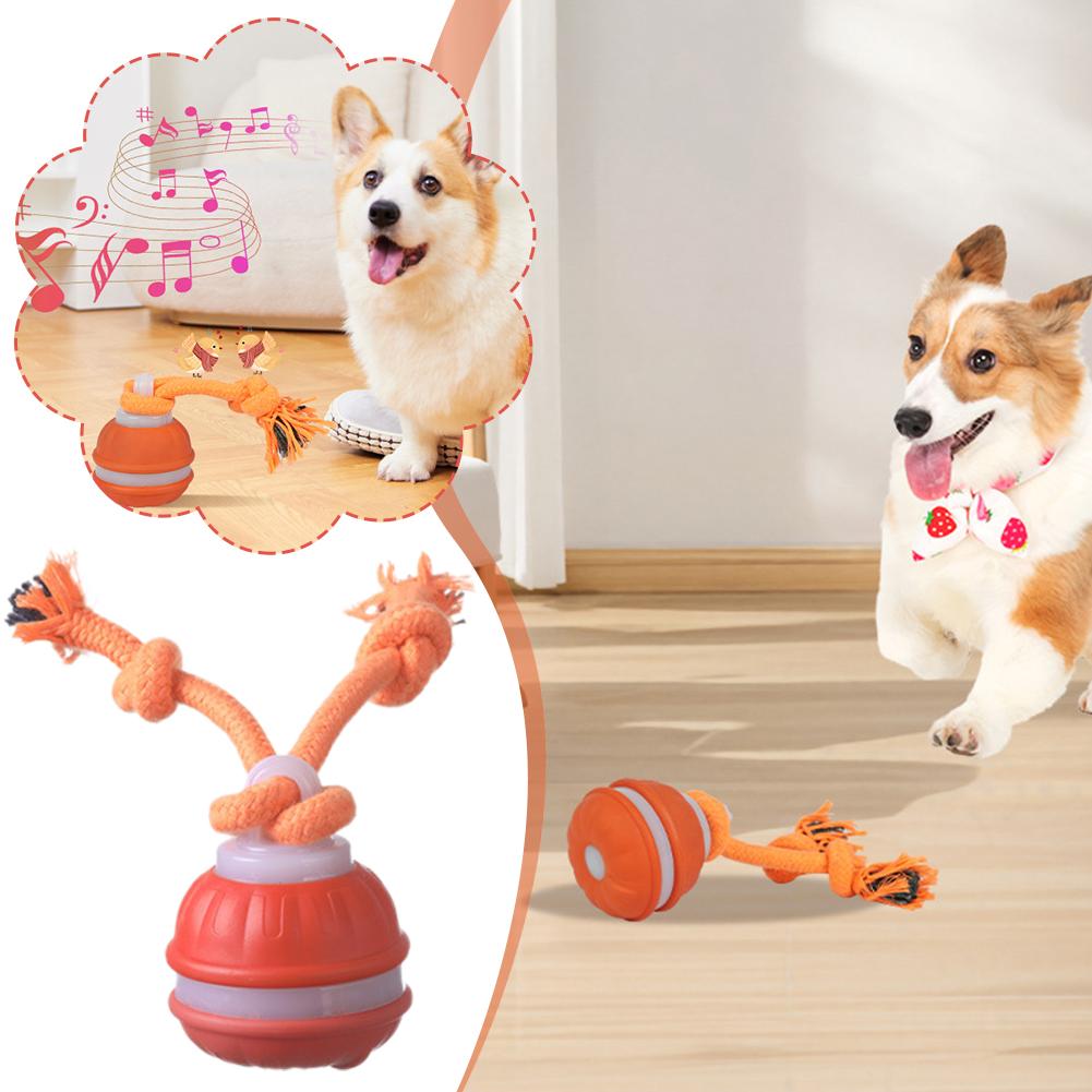 Inteligentna, ładowalna piłka  – Automatic Moving Dog Ball recenzja i cena