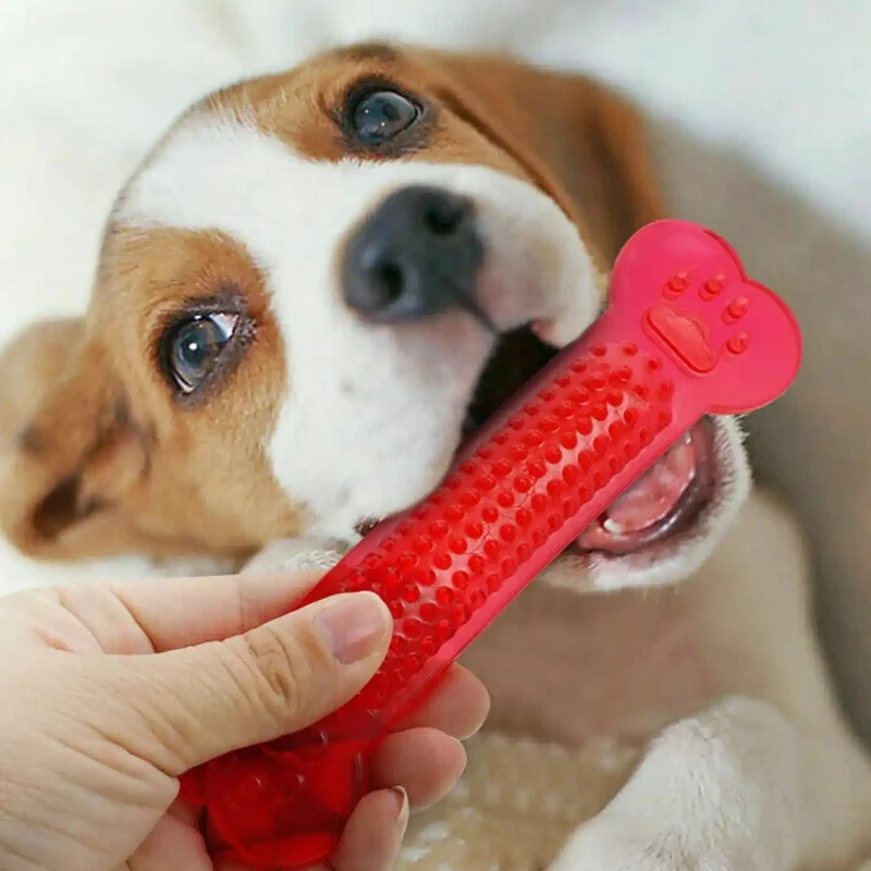 Super Wytrzymała Zabawka Gryza – Teeth Cleaning Dog Chew Bone recenzja i cena