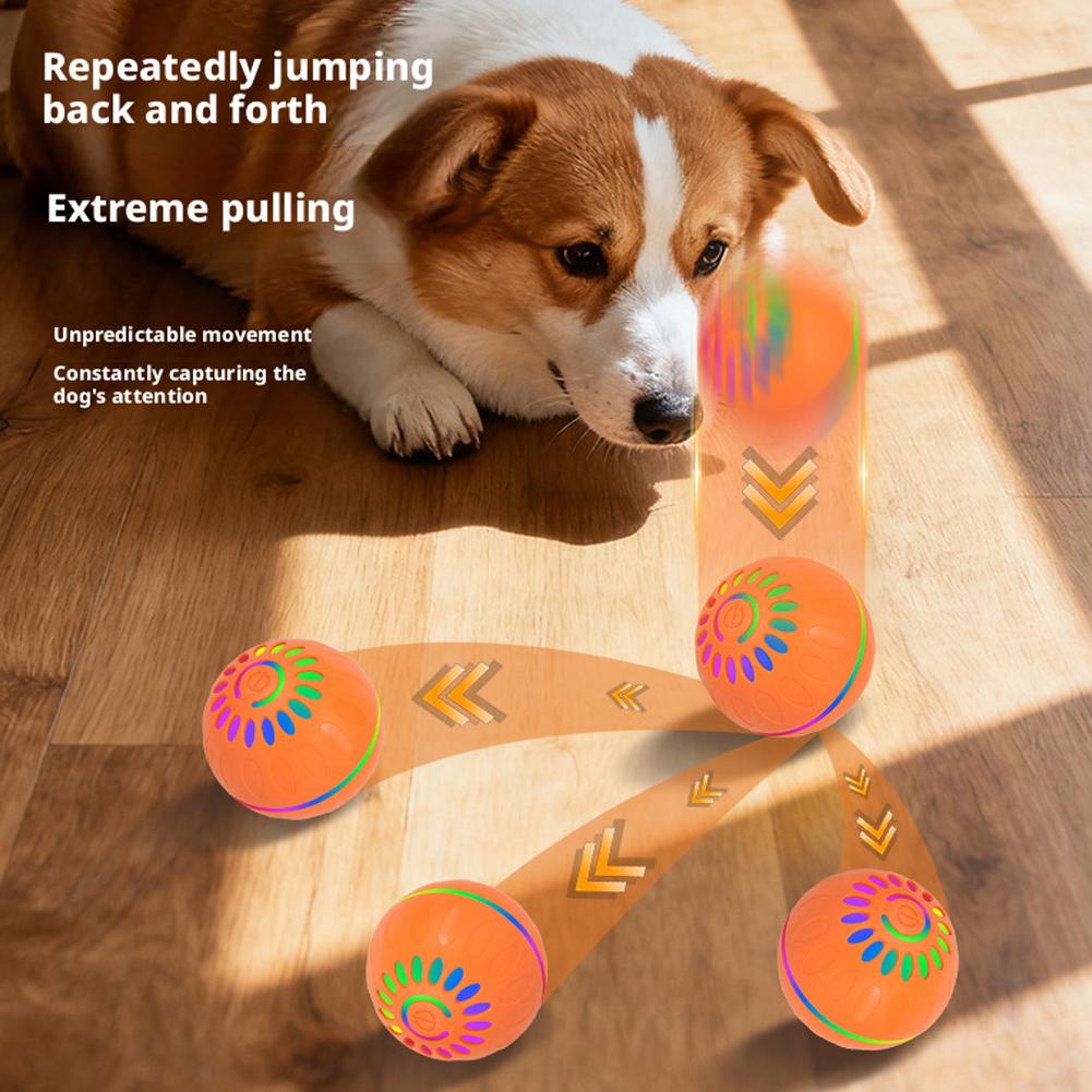 Inteligentna piłka dla psa, au – Automatic Moving Dog Ball recenzja i cena