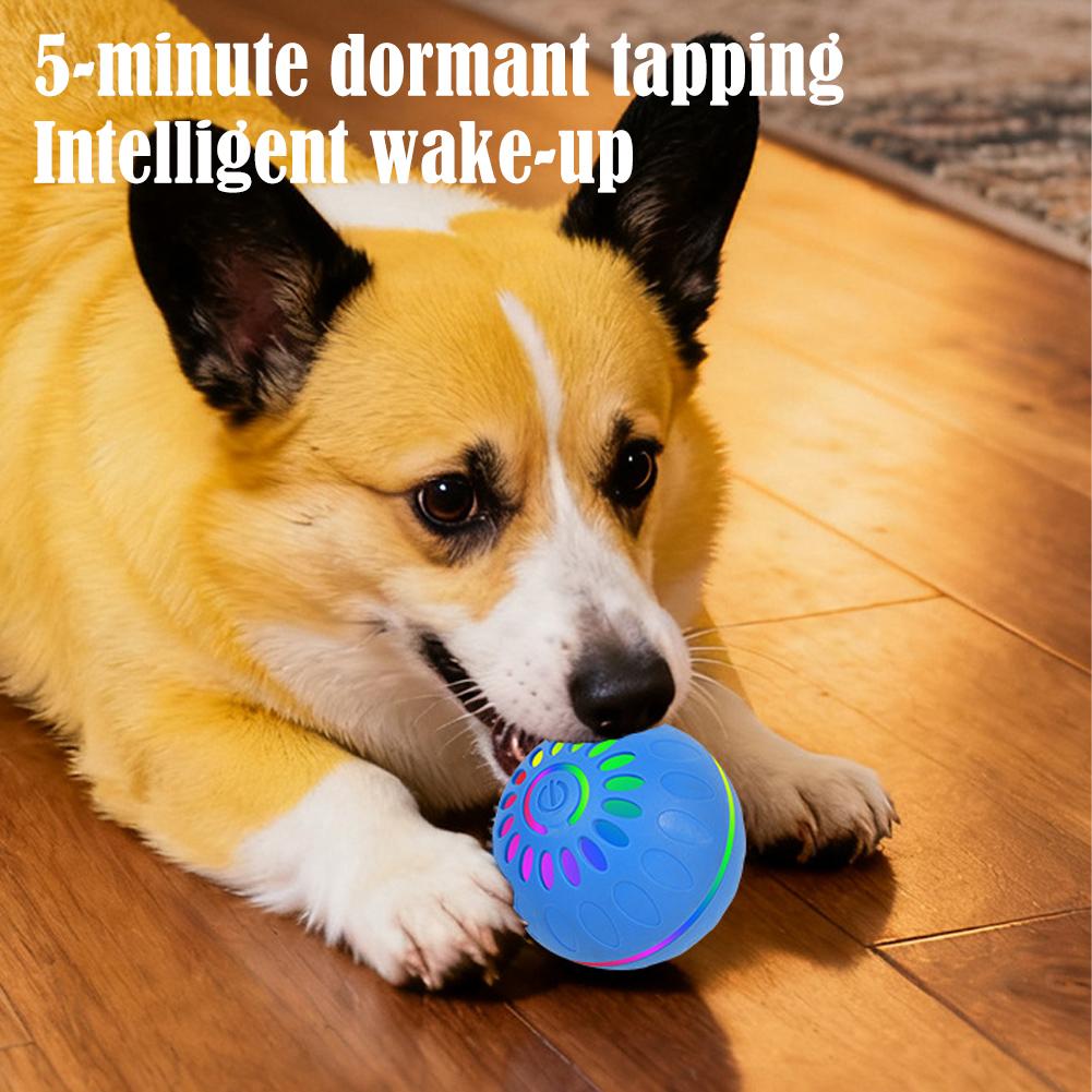 Inteligentna piłka dla psa, au – Automatic Moving Dog Ball recenzja i cena