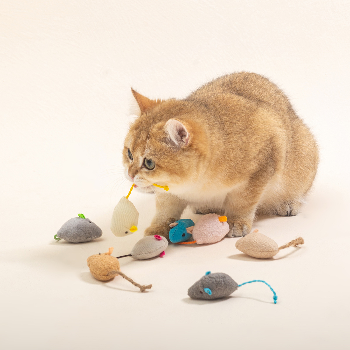 16 SZT. Interaktywne Zabawki d – Catnip Interactive Plush Mouse recenzja i cena