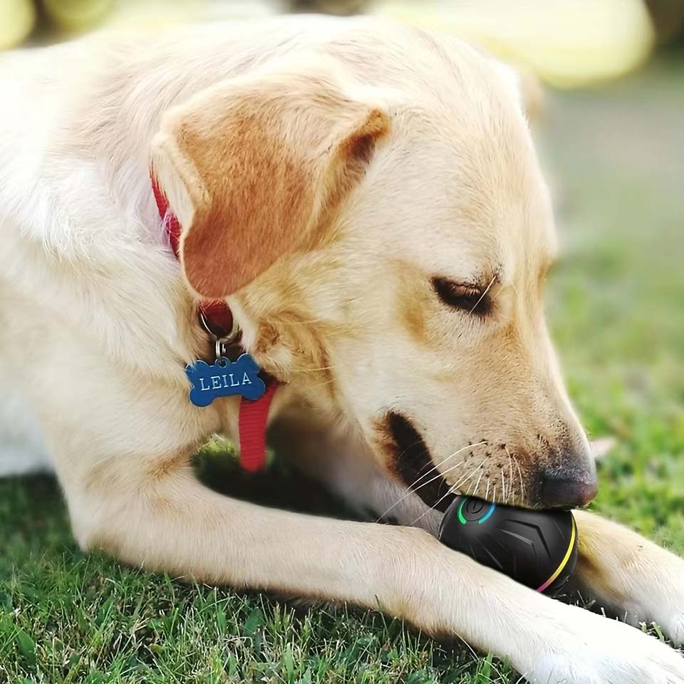 Interaktywne inteligentne zaba – Automatic Moving Dog Ball recenzja i cena