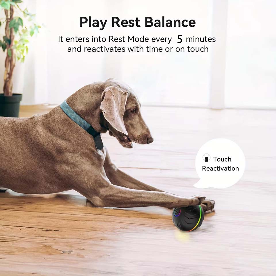 Interaktywne inteligentne zaba – Automatic Moving Dog Ball recenzja i cena