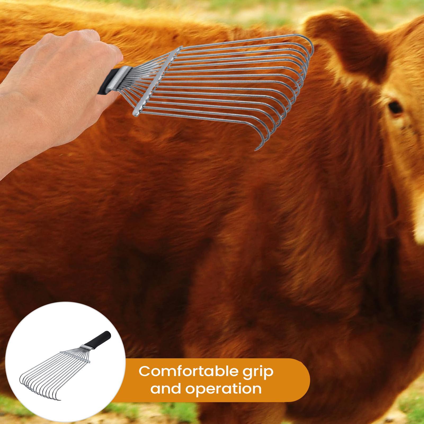 Grzebień do pielęgnacji koni,  – Pet Grooming recenzja i cena