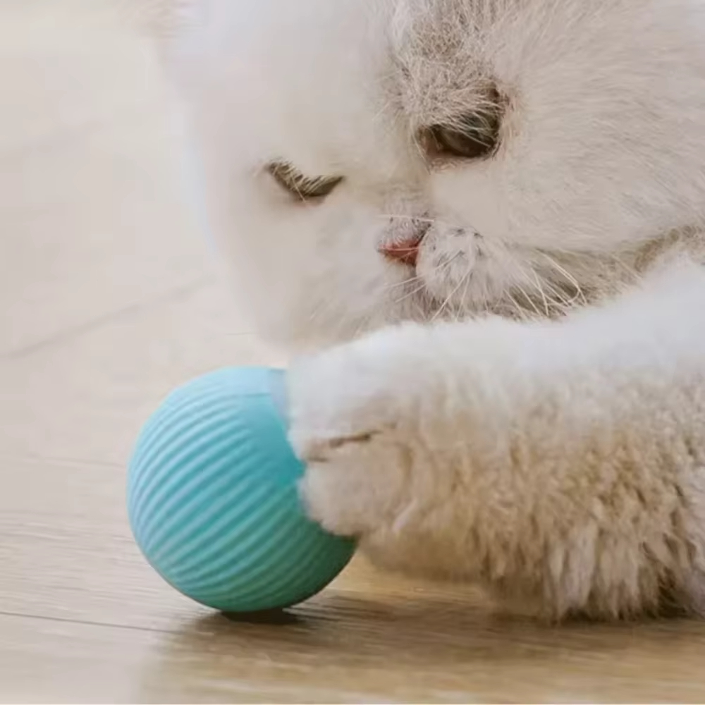 Automatyczna, ruchoma zabawka  – Automatic Moving Dog Ball recenzja i cena