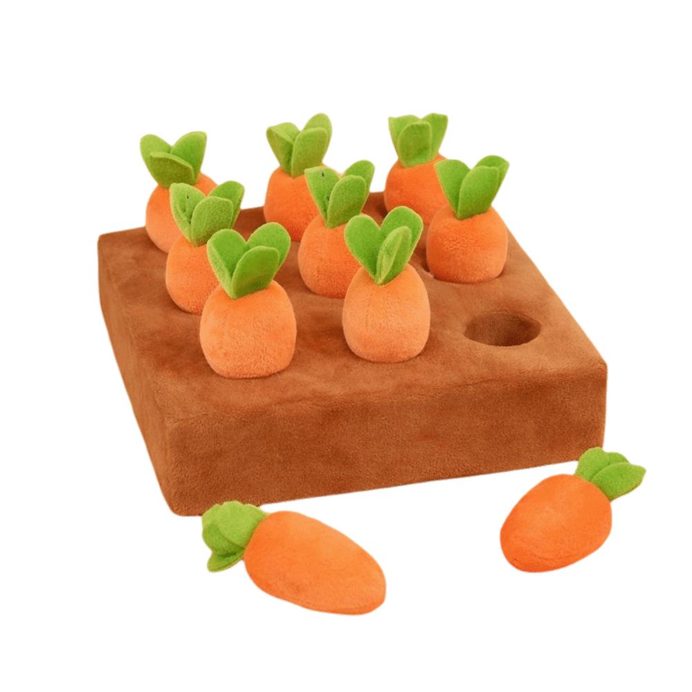Mata węchowa do zabawy dla psó – Dog Puzzle Feeder Toy recenzja i cena