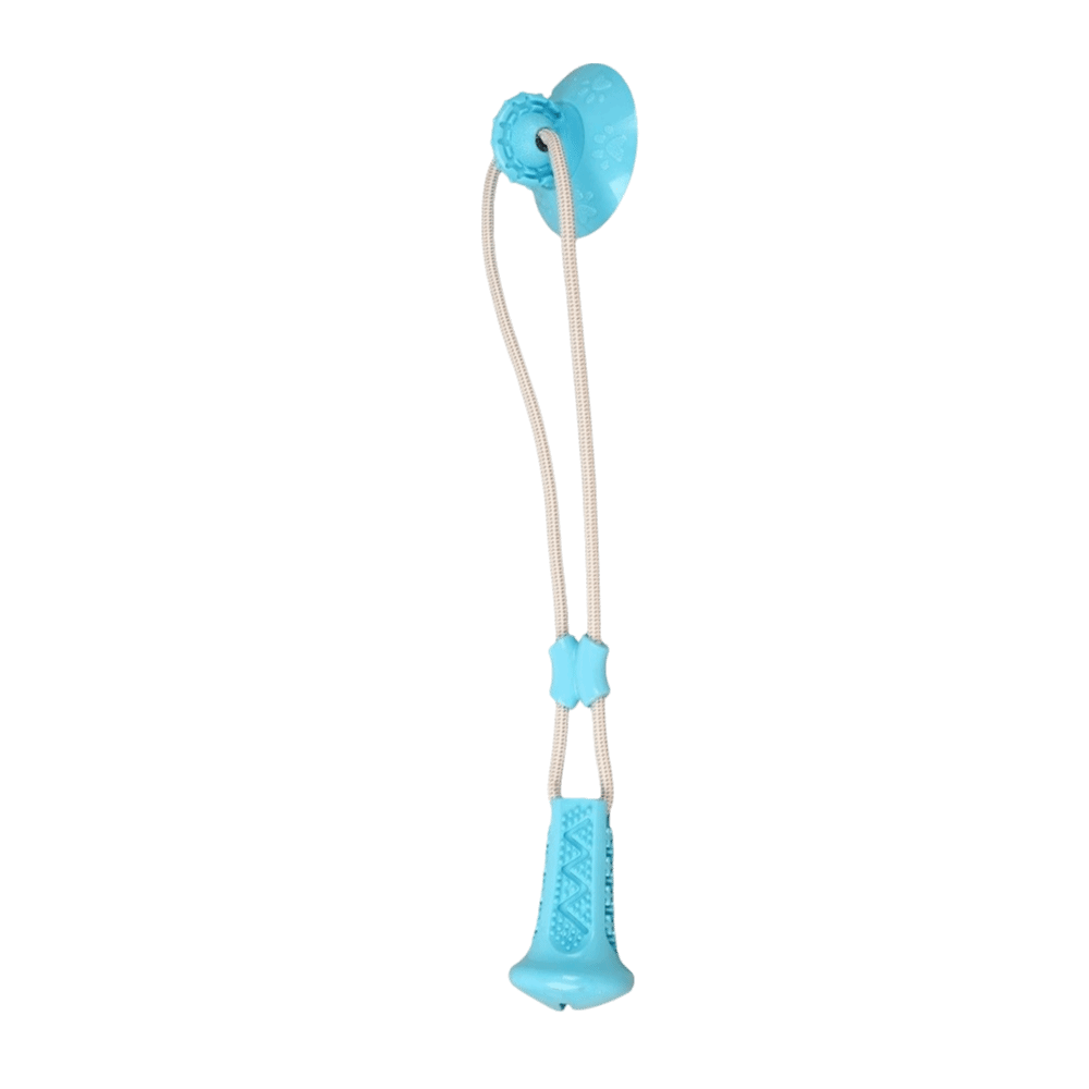 Odporna na ugryzienia zabawka  – Suction Cup Dog Tug Toy recenzja i cena