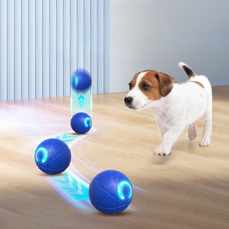 Inteligentna zabawka dla psa P – Suction Cup Dog Tug Toy recenzja i cena