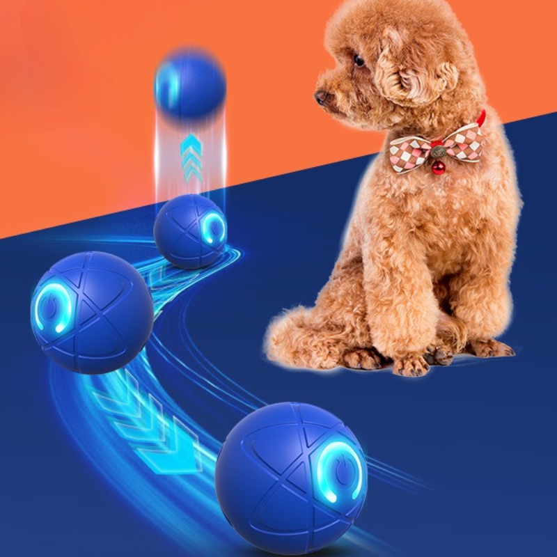 Inteligentna zabawka dla psa P – Suction Cup Dog Tug Toy recenzja i cena