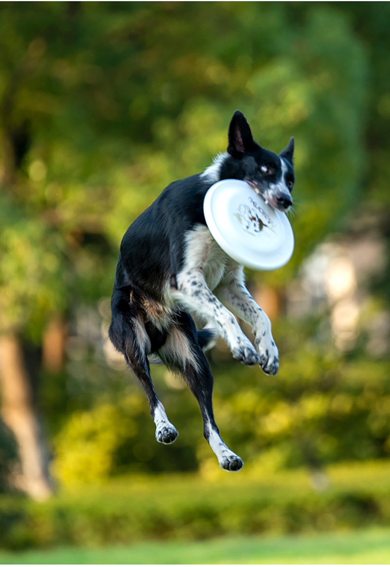 OUZEY odporna na ugryzienia sz – Flying Disc Dog Training Toy recenzja i cena