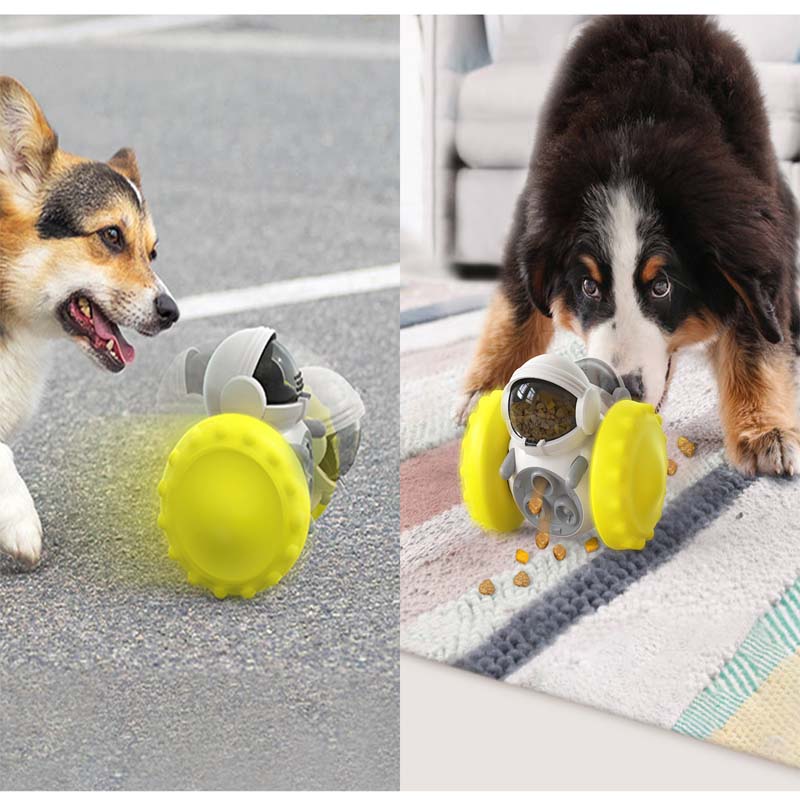 Nowa zabawka dla zwierząt – sa – Dog Puzzle Feeder Toy recenzja i cena