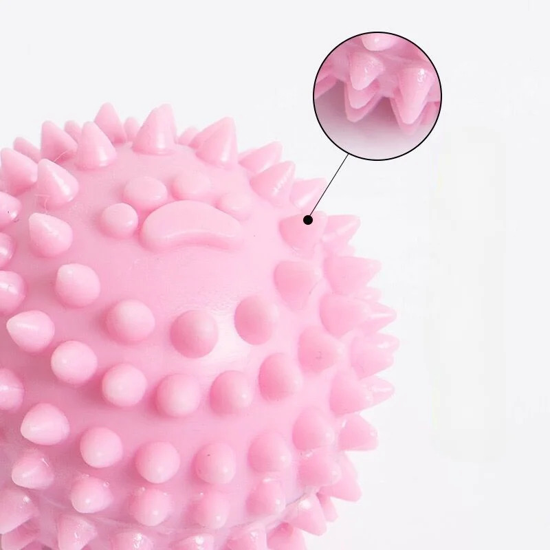 Wytrzymała gumowa zabawka do ż – Teeth Cleaning Dog Chew Bone recenzja i cena