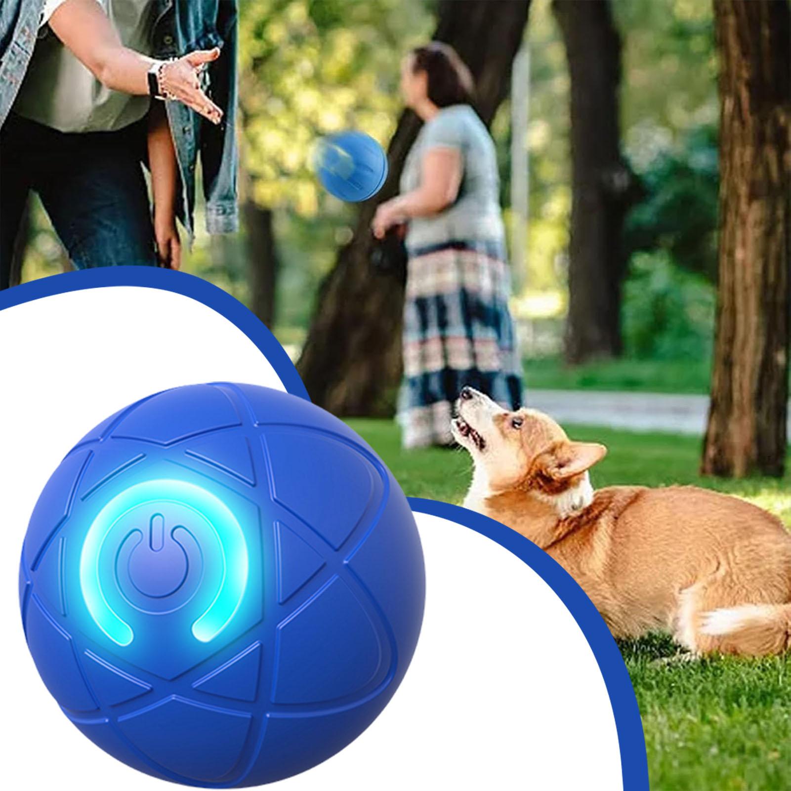 Inteligentna piłka dla psa, el – Automatic Moving Dog Ball recenzja i cena