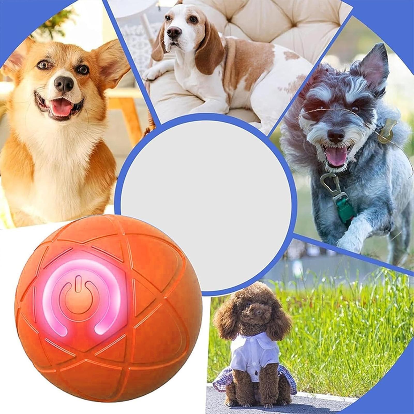 Inteligentna piłka dla psa, el – Automatic Moving Dog Ball recenzja i cena