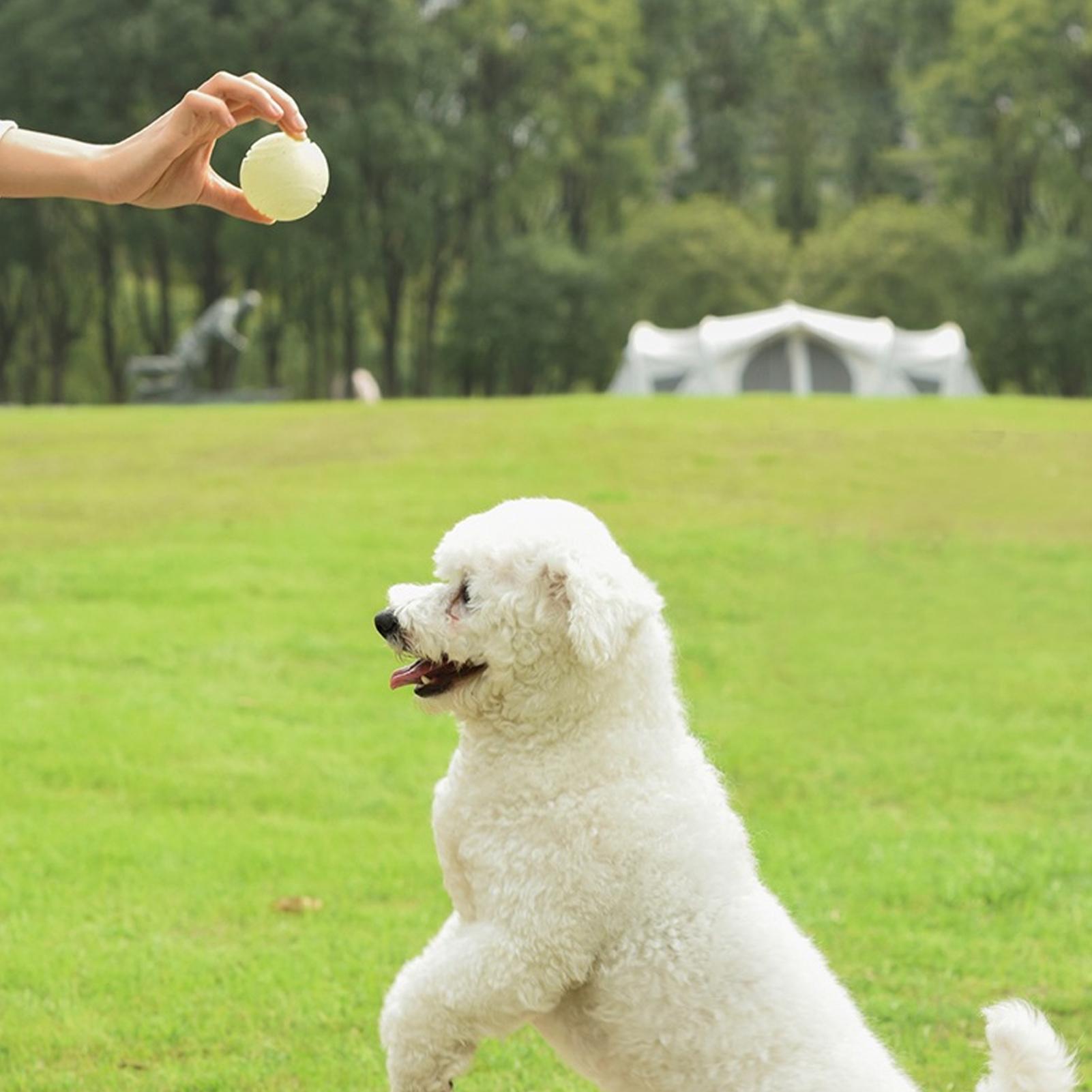 Piłki dla psów świecące w ciem – Dog Rope Toy Aggressive Chewers recenzja i cena