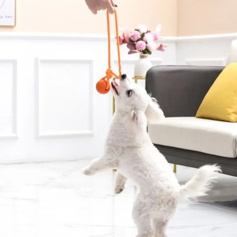 Szkolenia psów piłka na sznurk – Suction Cup Dog Tug Toy recenzja i cena