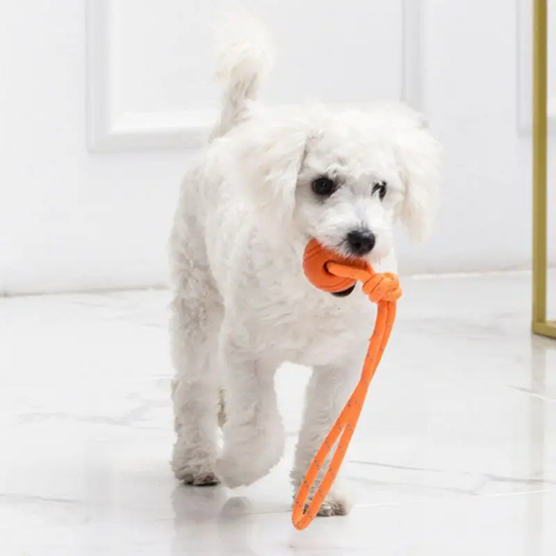 Szkolenia psów piłka na sznurk – Suction Cup Dog Tug Toy recenzja i cena