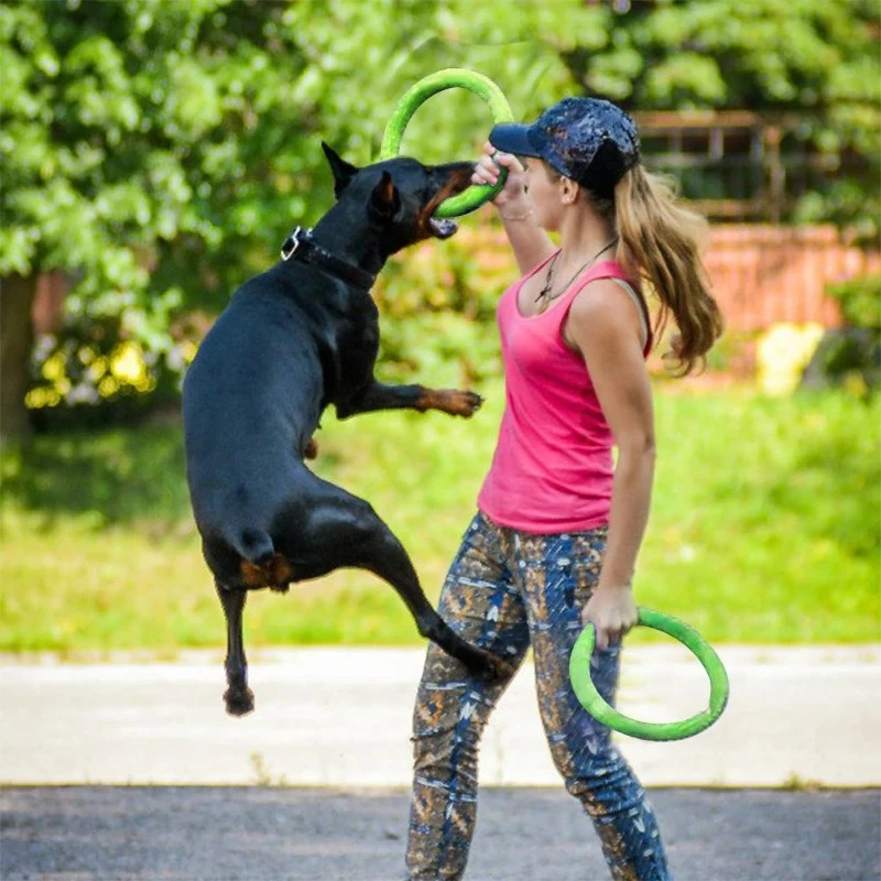 Zabawki dla psów latające dysk – Suction Cup Dog Tug Toy recenzja i cena