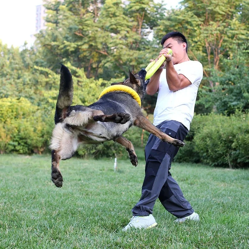 Zabawki dla psów latające dysk – Suction Cup Dog Tug Toy recenzja i cena