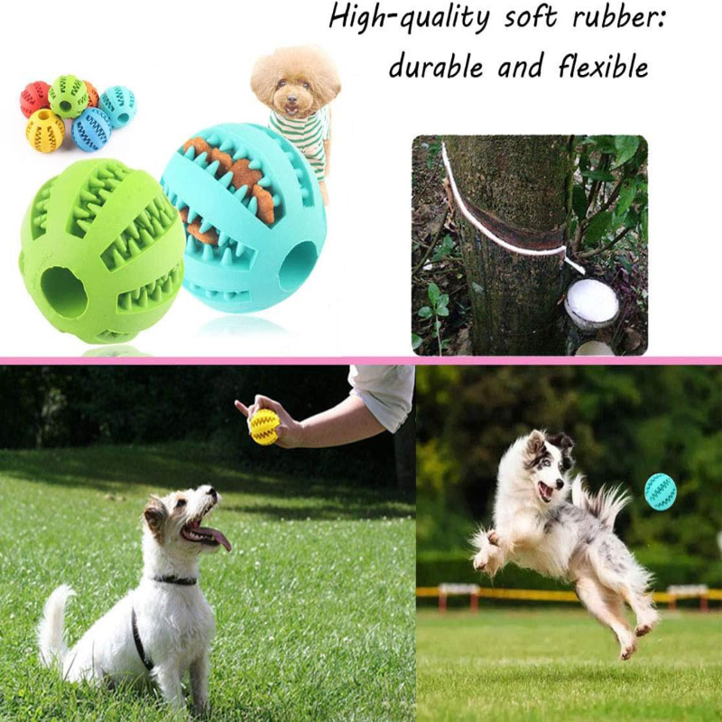 Interaktywna, nietoksyczna, od – Dog Puzzle Feeder Toy recenzja i cena