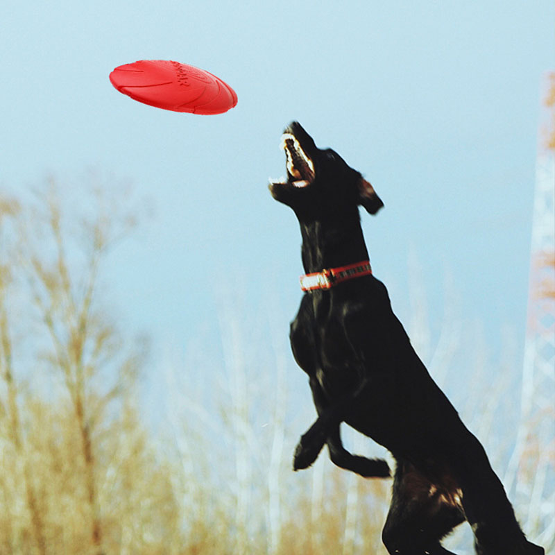 Gumowe latające dyski dla psów – Flying Disc Dog Training Toy recenzja i cena