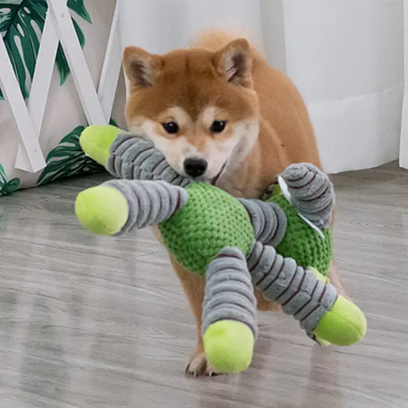 Niezniszczalne, duże zabawki d – Indestructible Dog Chew Toy recenzja i cena