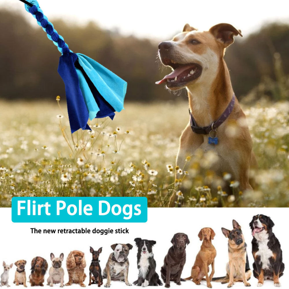 Chowany kij dla psa interaktyw – Interactive Squeaky Plush Dog Toy recenzja i cena