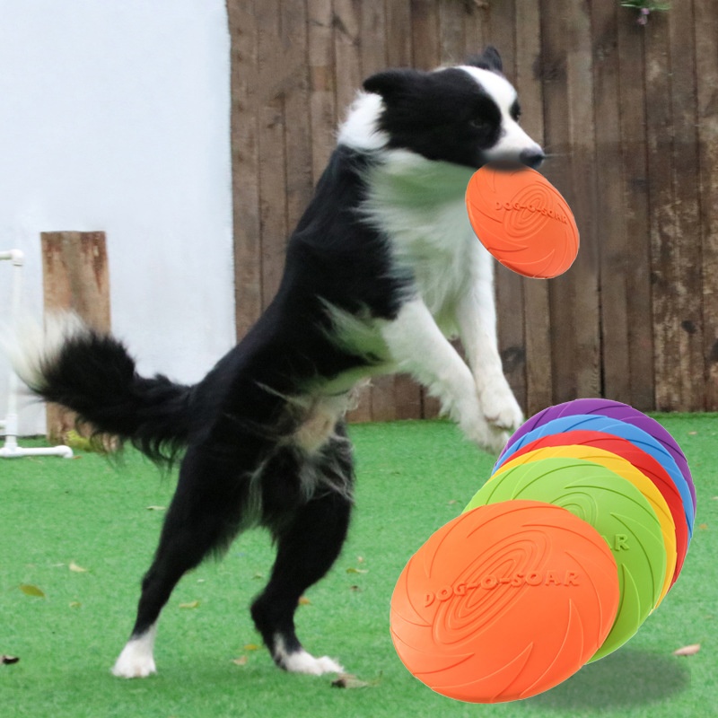 Interaktywna silikonowa zabawk – Flying Disc Dog Training Toy recenzja i cena