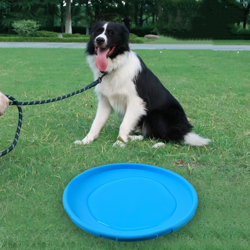 Interaktywna silikonowa zabawk – Flying Disc Dog Training Toy recenzja i cena