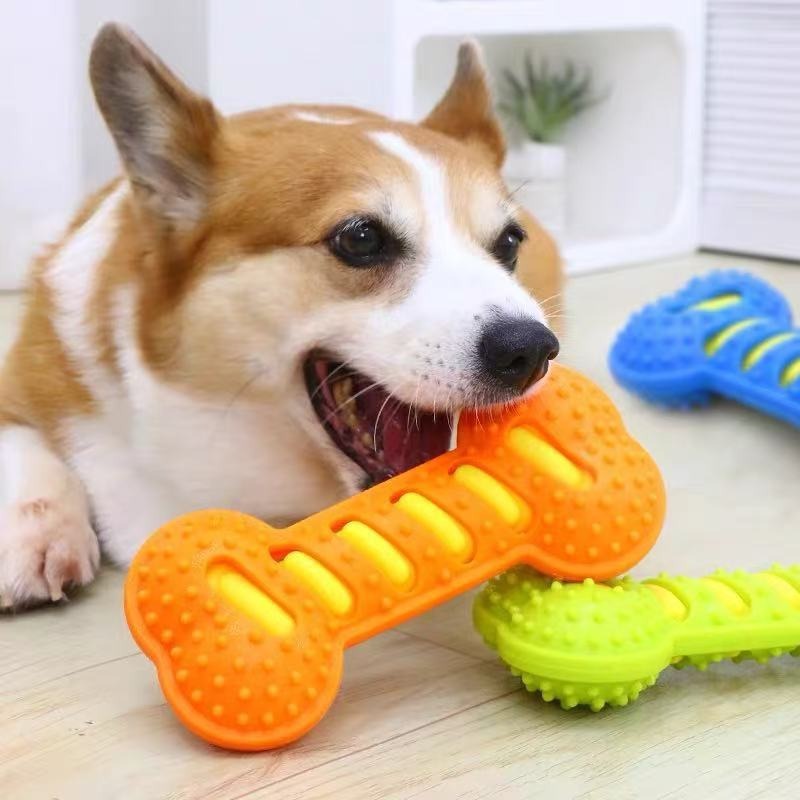 Wytrzymała gumowa zabawka dla  – Teeth Cleaning Dog Chew Bone recenzja i cena