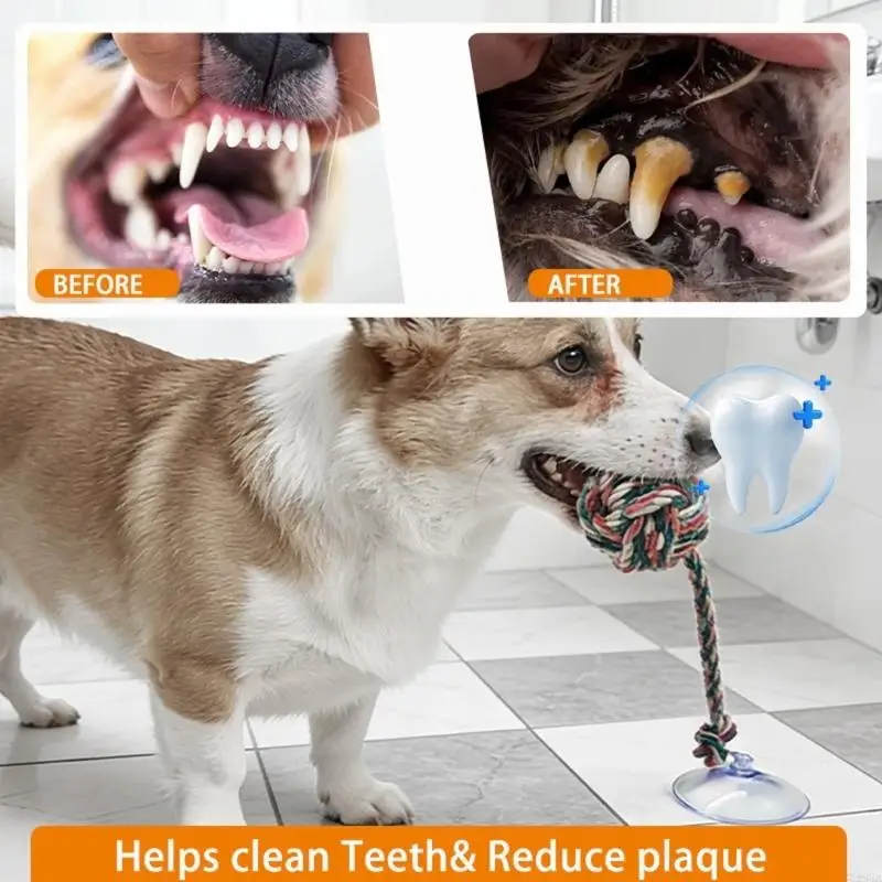 Zabawna, bezpieczna zabawka do – Suction Cup Dog Tug Toy recenzja i cena