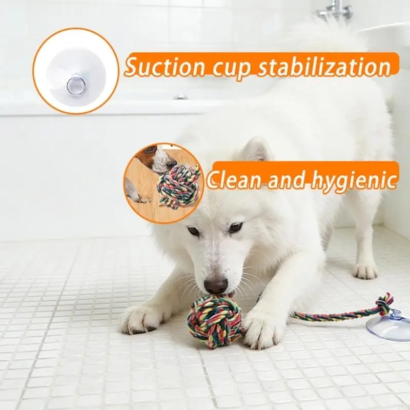 Zabawna, bezpieczna zabawka do – Suction Cup Dog Tug Toy recenzja i cena
